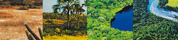 CND/2030: Setor florestal e uso da terra